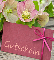 Gutschein, Foto: Cora Mueller/Shutterstock.com