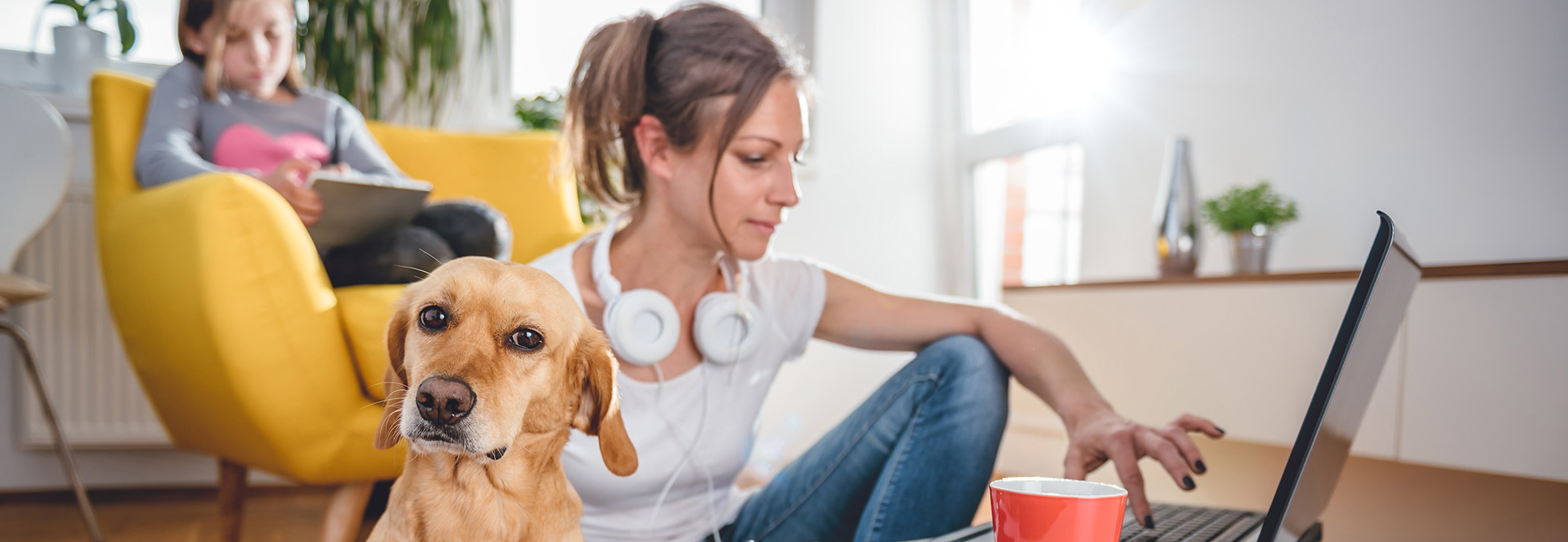 Frau arbeitet am Laptop / Credit: kerkezz/Adobe Stock