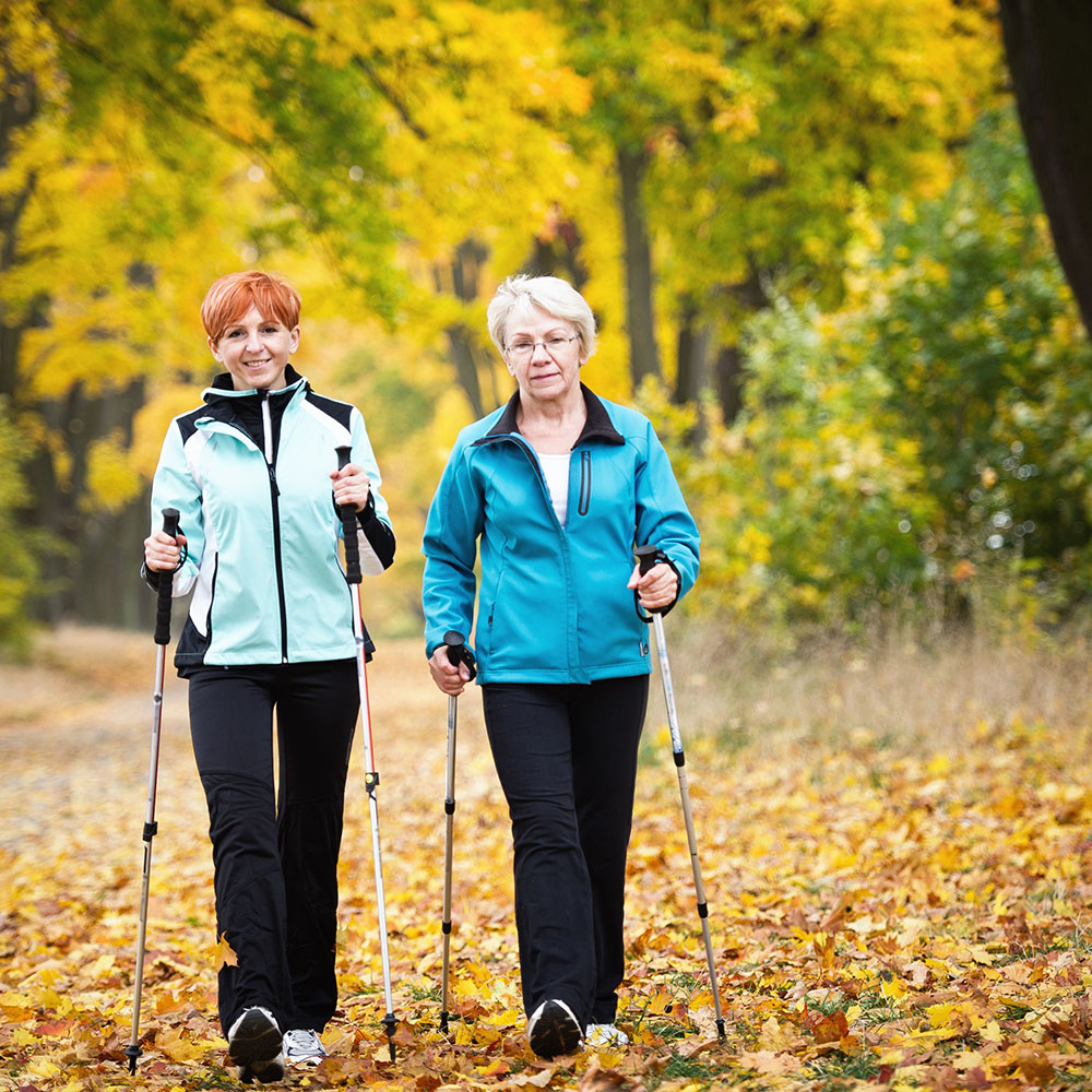 Zwei Frauen beim Nordic Walking im herbstlichen Wald.