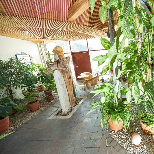 Topfpflanzen, eine Skulptur und Sitzgelegenheiten in einem Raum mit Steinpflaster und vielen Fenstern.