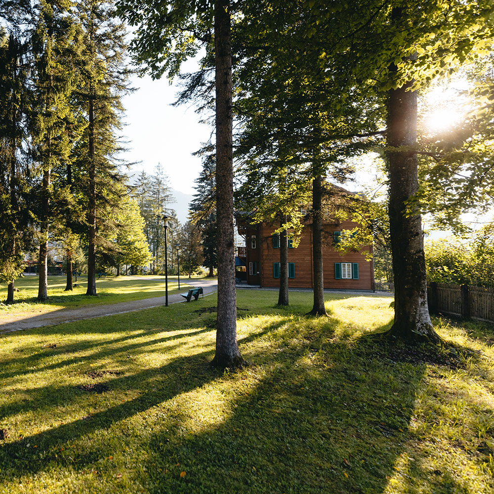 Parkanlage des Gesundheitszentrums Hanuschhof mit Wiese, hohen Nadelbäumen durch die die Sonne blinzelt und ein Gehweg mit Bank, der zur Rückseite eines holzvertäfelten Gebäudes führt.