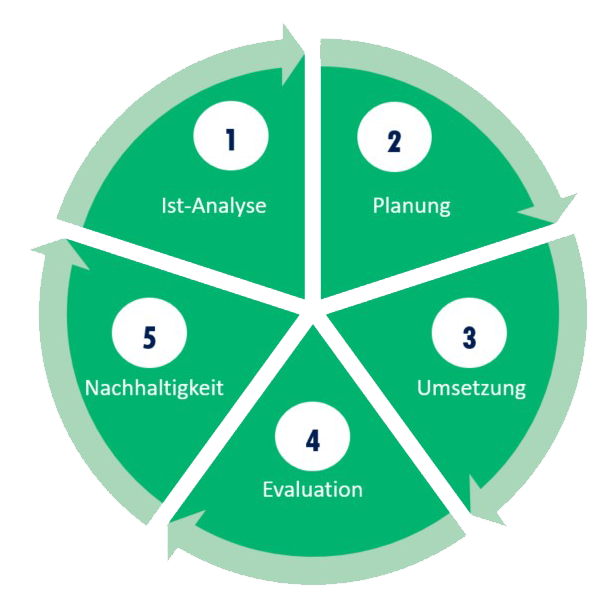 Der Projektzyklus wird in einem Kreis dargestellt. 1. Ist-Analyse, 2. Planung, 3. Umsetzung, 4. Evaluation, 5. Nachhaltigkeit