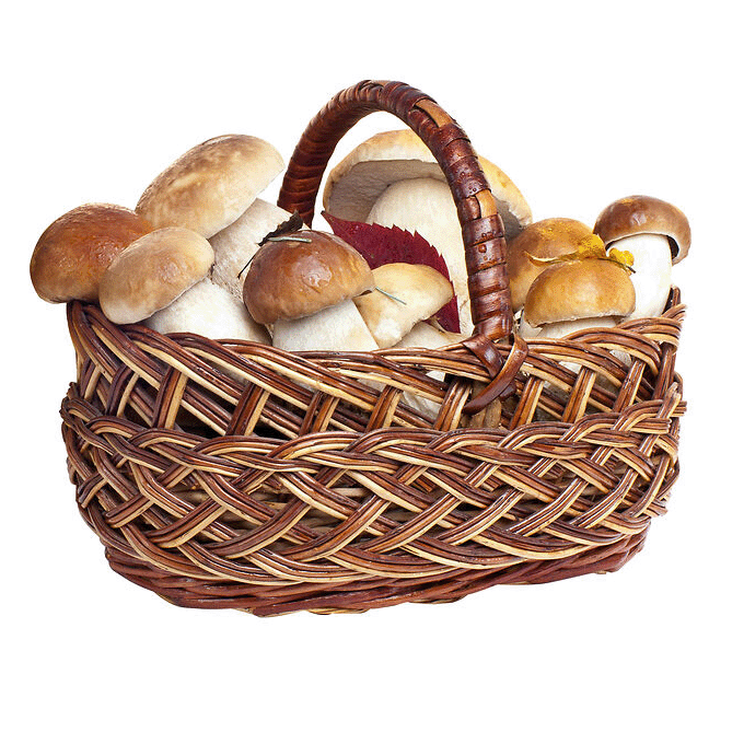 Mehr Informationen zum Thema: Juni