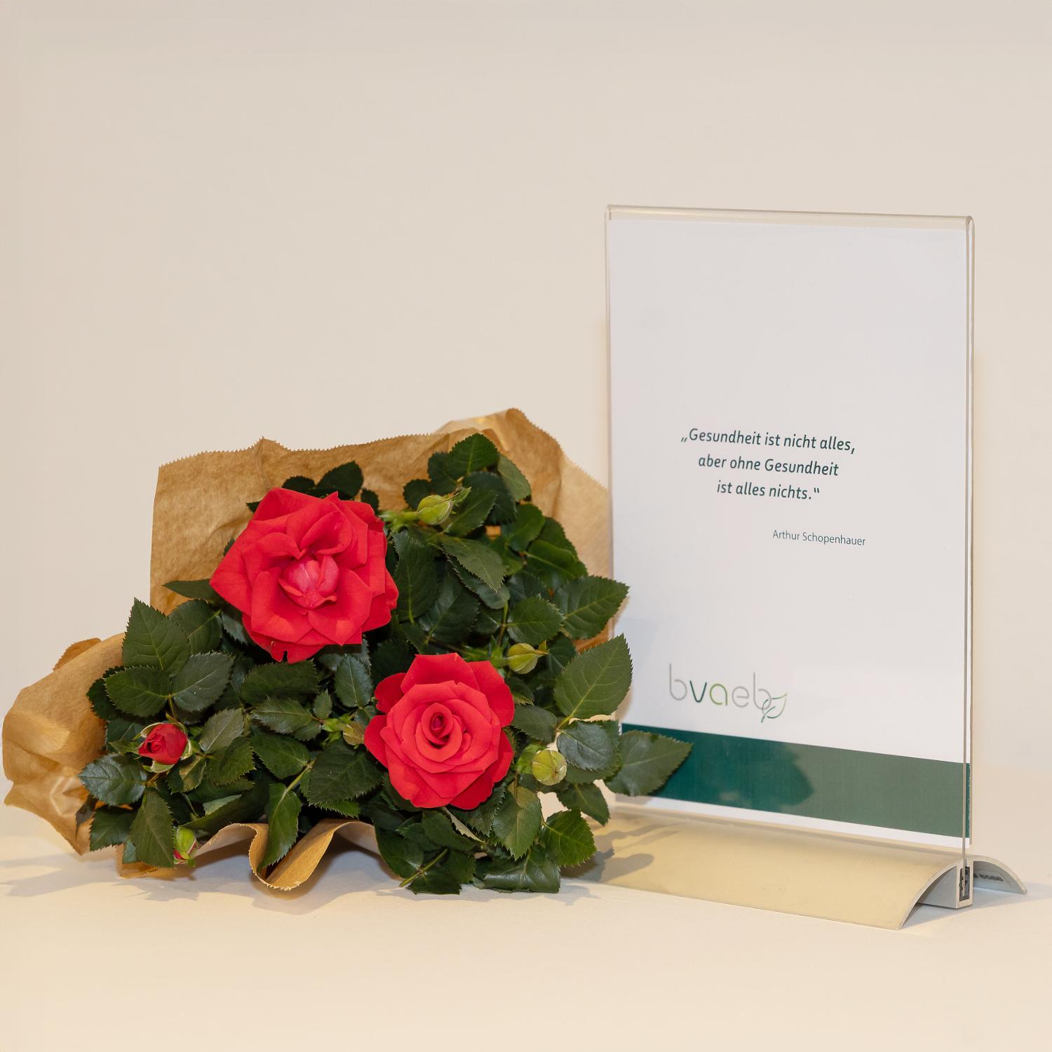 Mehr Informationen zum Thema: Erfolgreiche BVAEB-Symposien zur Gesundheitsförderung an Schulen