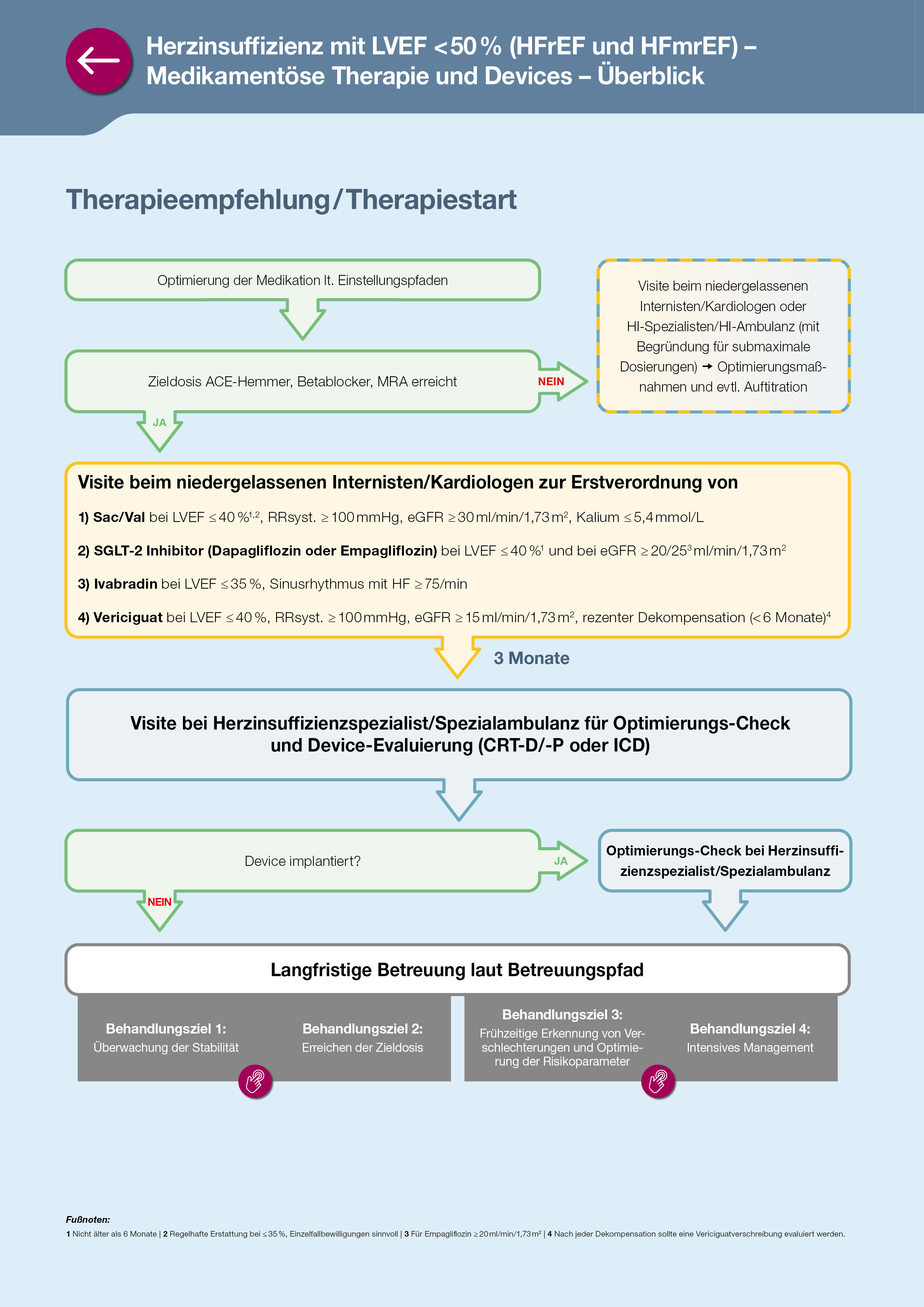 Überblick Bertreuungspfad